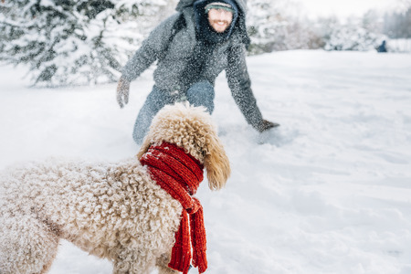 Australian Labradoodle Breeder in Sierra Springs, CA